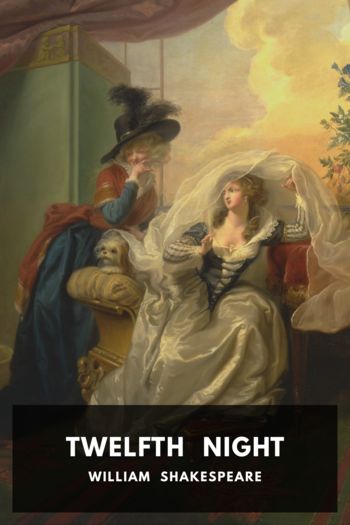 Читать книгу Twelfth Night