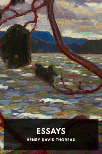 Читать книгу Essays