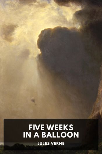 Читать книгу Five Weeks in a Balloon