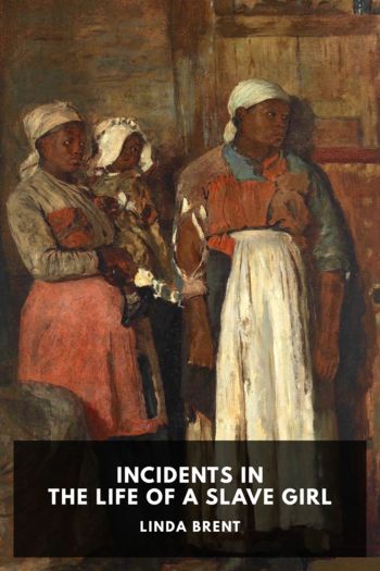 Читать книгу Incidents in the Life of a Slave Girl