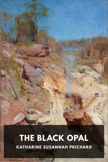Читать книгу The Black Opal