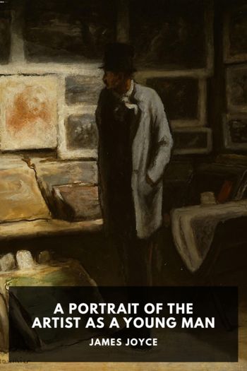 Читать книгу A Portrait of the Artist as a Young Man