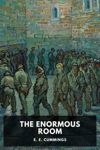 Читать книгу The Enormous Room