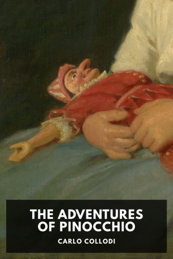 Читать книгу The Adventures of Pinocchio
