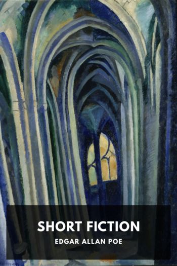 Читать книгу Short Fiction