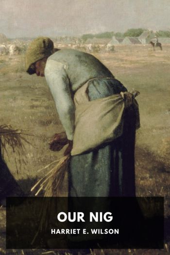 Читать книгу Our Nig