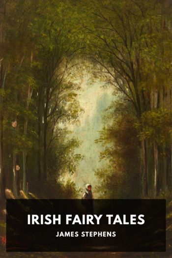 Читать книгу Irish Fairy Tales