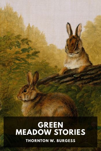 Читать книгу Green Meadow Stories