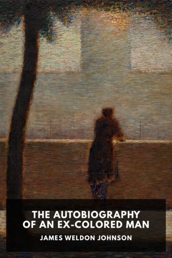 Читать книгу The Autobiography of an Ex-Colored Man