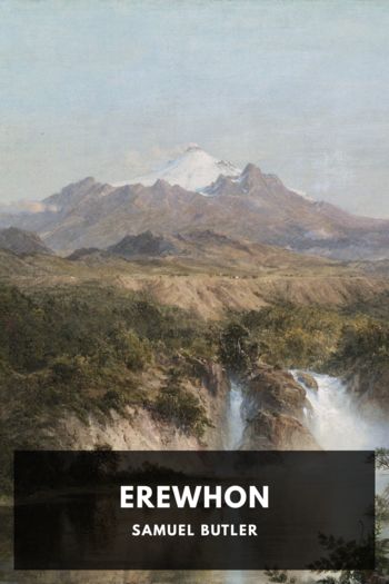 Читать книгу Erewhon