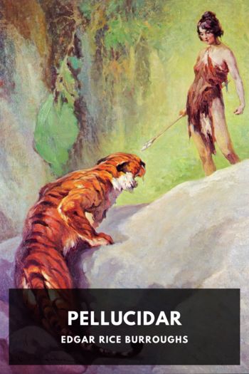 Читать книгу Pellucidar