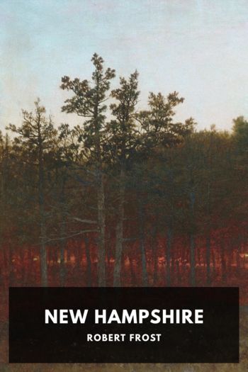Читать книгу New Hampshire