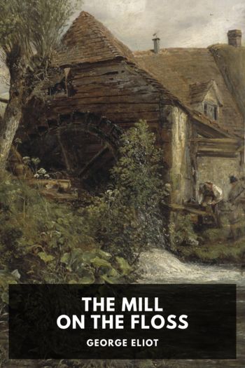 Читать книгу The Mill on the Floss