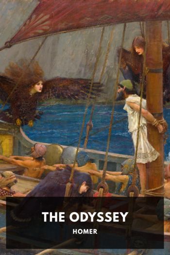 Читать книгу The Odyssey
