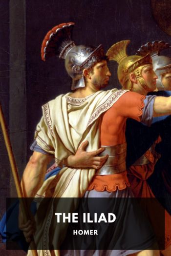 Читать книгу The Iliad