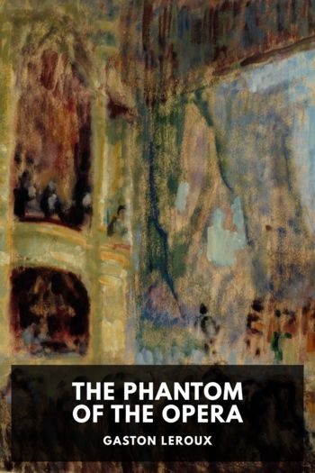 Читать книгу The Phantom of the Opera