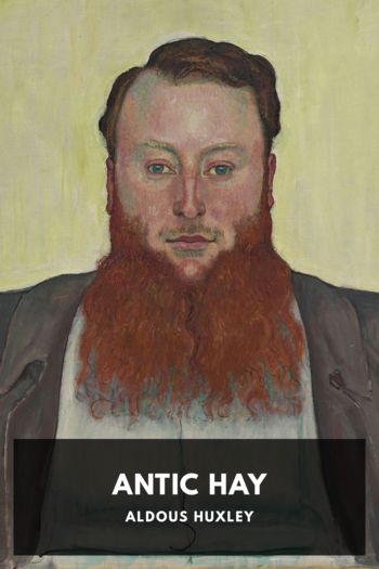 Читать книгу Antic Hay