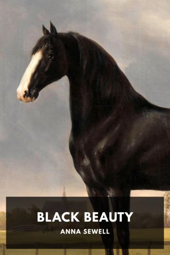 Читать книгу Black Beauty