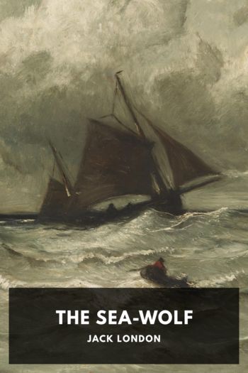 Читать книгу The Sea-Wolf