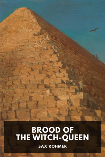 Читать книгу Brood of the Witch-Queen