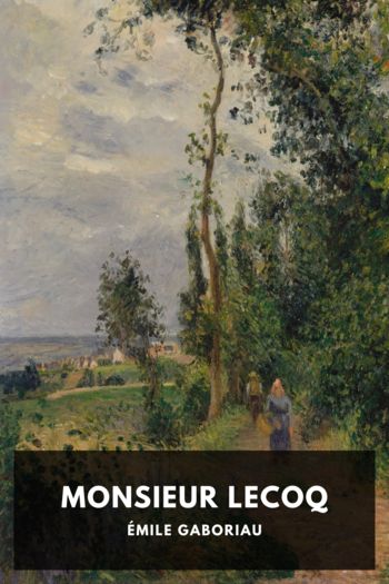 Читать книгу Monsieur Lecoq