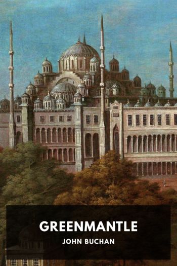 Читать книгу Greenmantle
