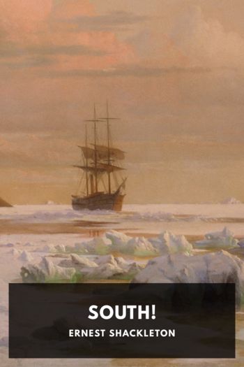 Читать книгу South!