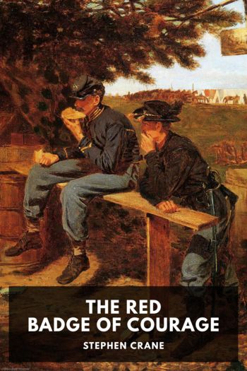 Читать книгу The Red Badge of Courage