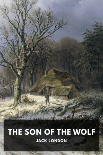 Читать книгу The Son of the Wolf