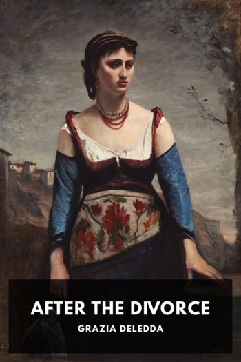 Читать книгу After the Divorce