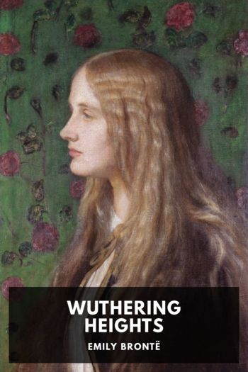 Читать книгу Wuthering Heights