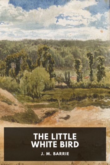 Читать книгу The Little White Bird