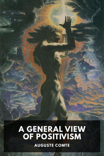 Читать книгу A General View of Positivism