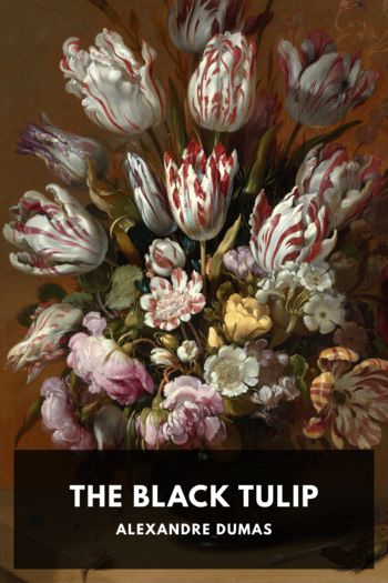 Читать книгу The Black Tulip
