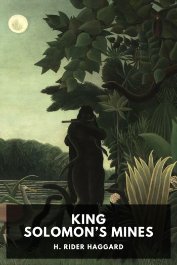 Читать книгу King Solomon’s Mines