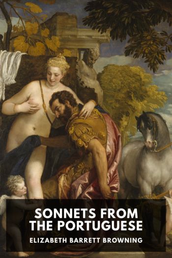 Читать книгу Sonnets from the Portuguese