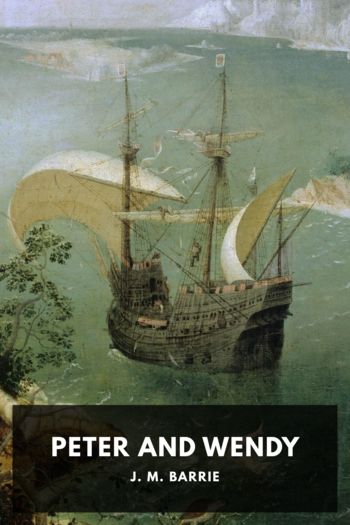 Читать книгу Peter and Wendy