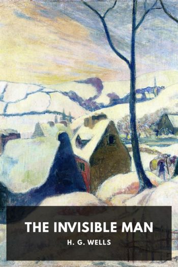 Читать книгу The Invisible Man