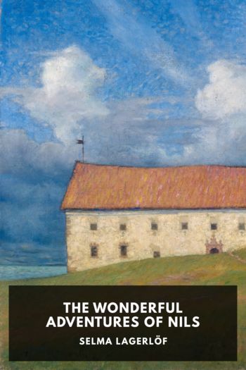 Читать книгу The Wonderful Adventures of Nils
