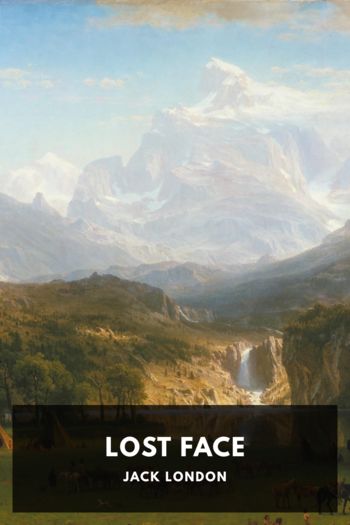 Читать книгу Lost Face