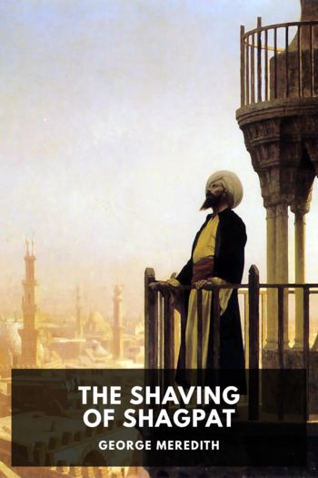 Читать книгу The Shaving of Shagpat