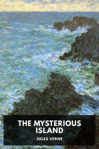Читать книгу The Mysterious Island