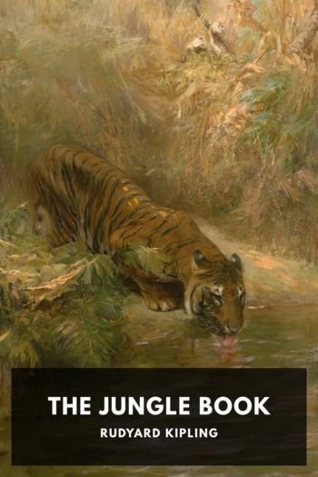 Читать книгу The Jungle Book