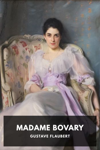 Читать книгу Madame Bovary