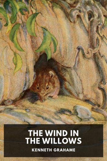 Читать книгу The Wind in the Willows