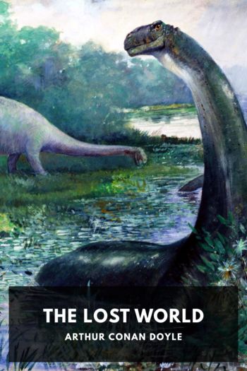 Читать книгу The Lost World