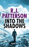 Читать книгу Brady Hawk 10 - Into the Shadows