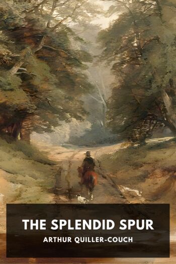 Читать книгу The Splendid Spur