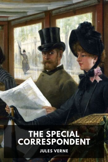 Читать книгу The Special Correspondent