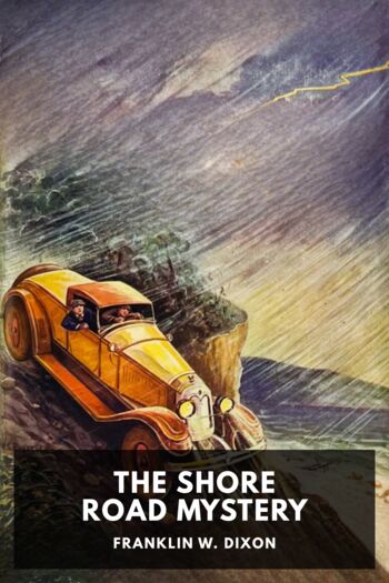 Читать книгу The Shore Road Mystery